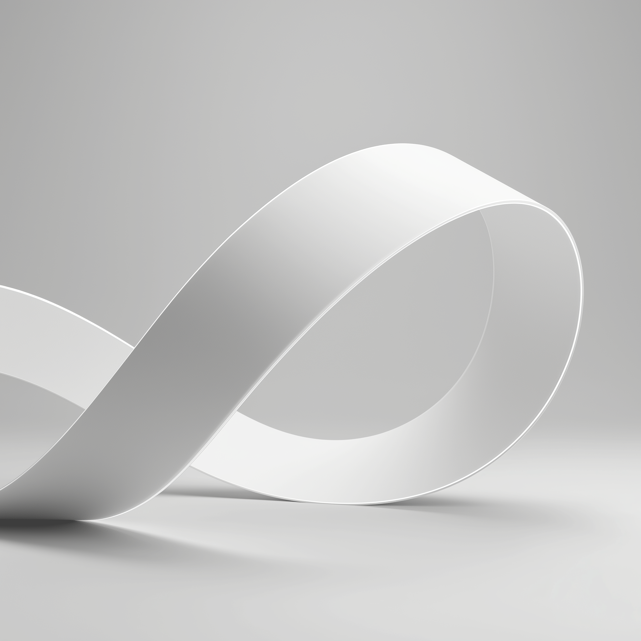 Oemeta Skimmer Belt Model #SB-1200